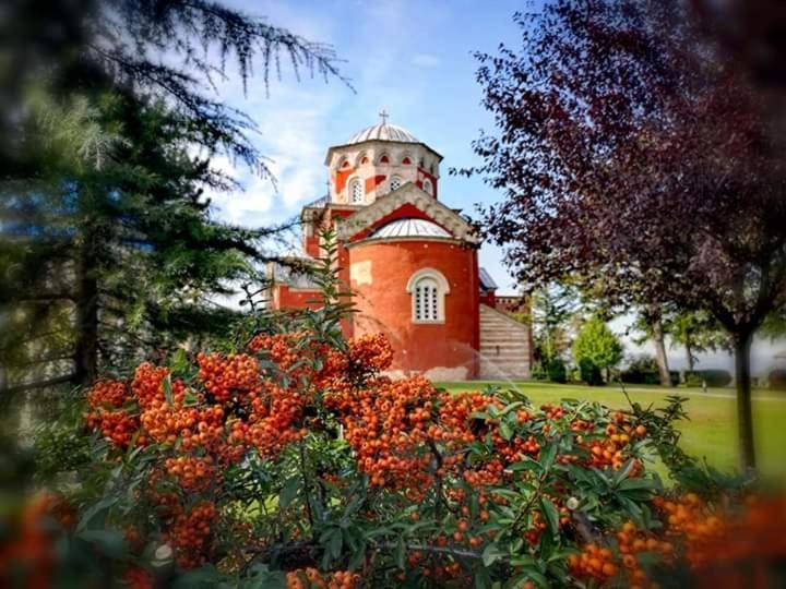 Kuca Za Odmor Zicanka Kraljevo Exterior foto