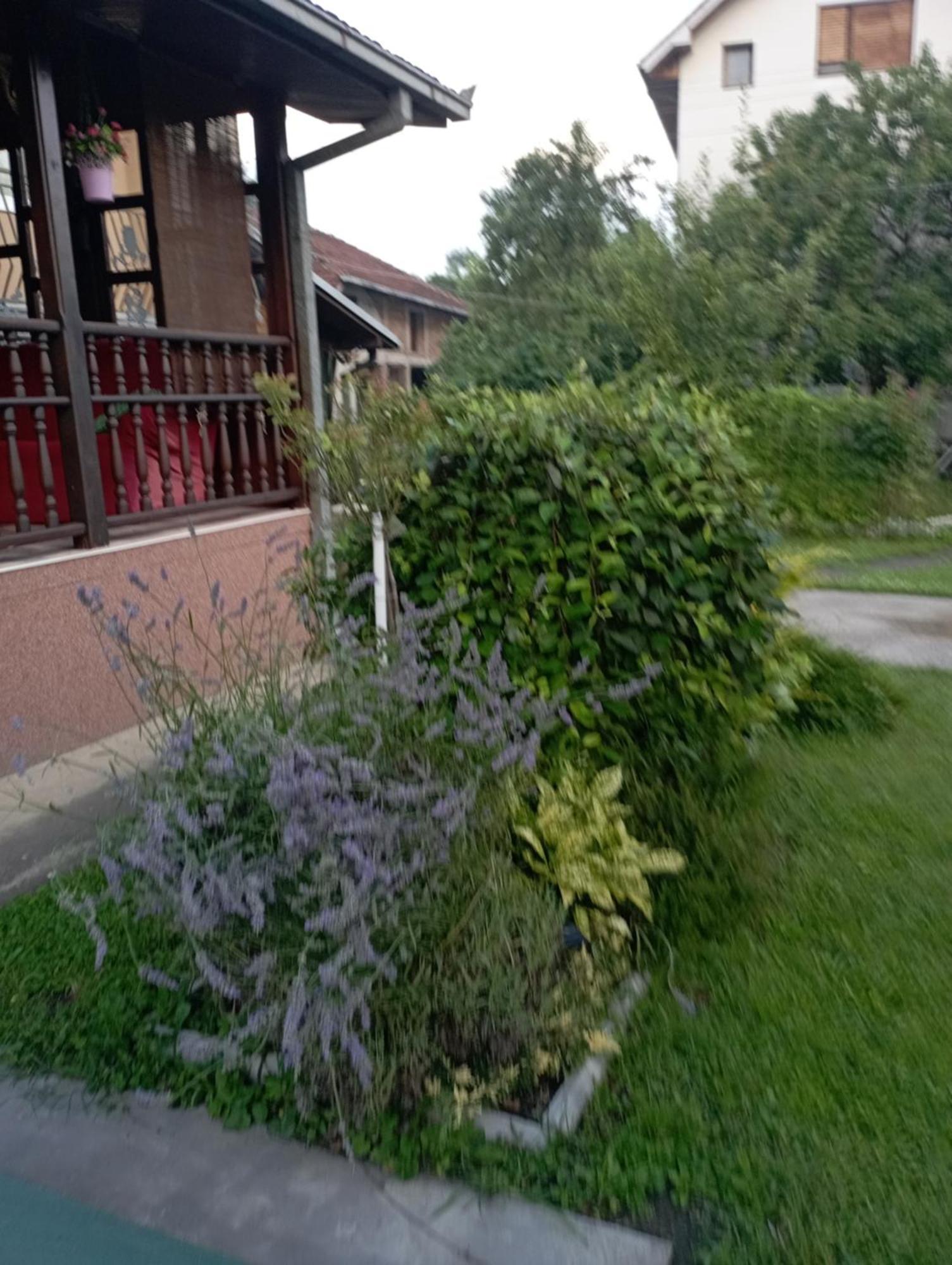 Kuca Za Odmor Zicanka Kraljevo Exterior foto